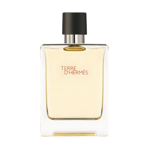 Hermès Terre D'Hermès - Woda toaletowa dla mężczyzn - widok produktu